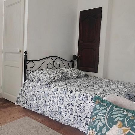 Studio Avec Jardin A 10 Mn A Pied Du Centre Ville Toulouse Exterior photo